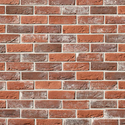 Леонардо Стоун Авиньон 904