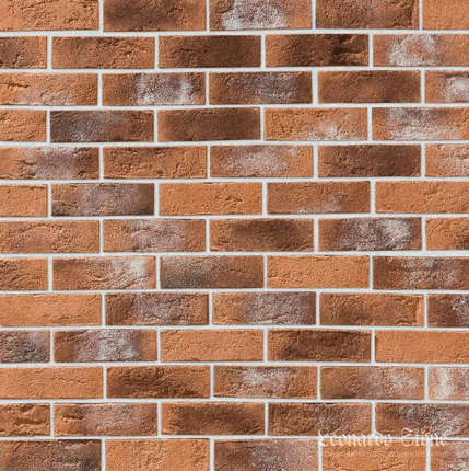 Леонардо Стоун Бремен 485