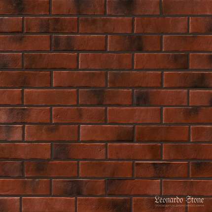 Леонардо Стоун Денвер 767