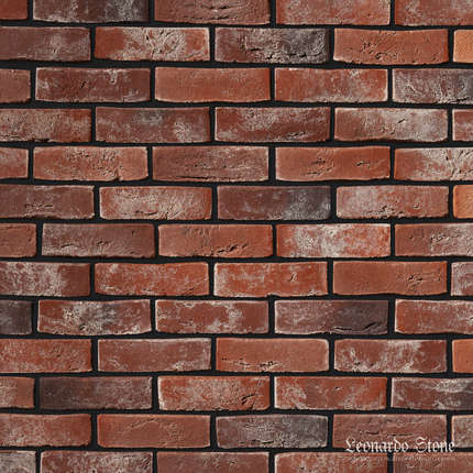 Леонардо Стоун Денвер 905