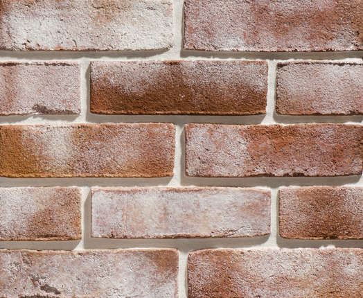 Леонардо Стоун Дижон 757