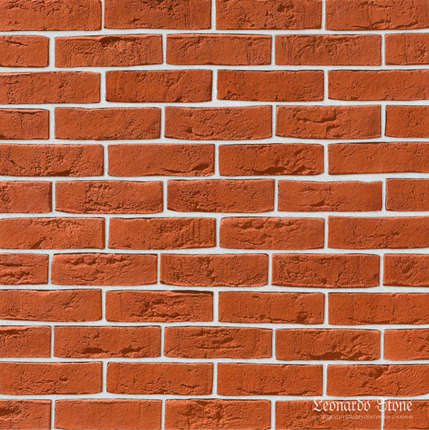 Леонардо Стоун Дижон 411