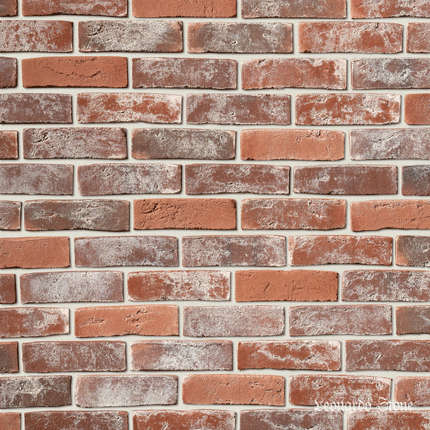 Леонардо Стоун Дижон 903