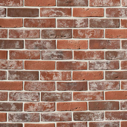 Леонардо Стоун Дижон 904