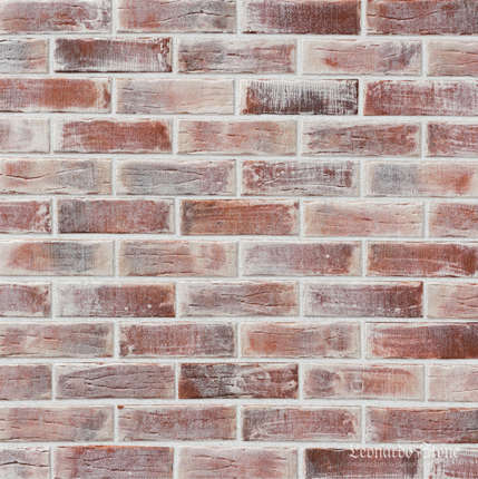 Леонардо Стоун Нью-Йорк 788