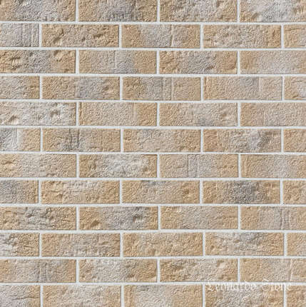 Леонардо Стоун Перт 052