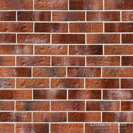 Леонардо Стоун Перт 490