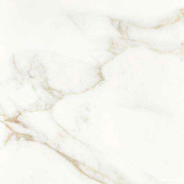 Calacatta Gold Ret 80 (800x800)