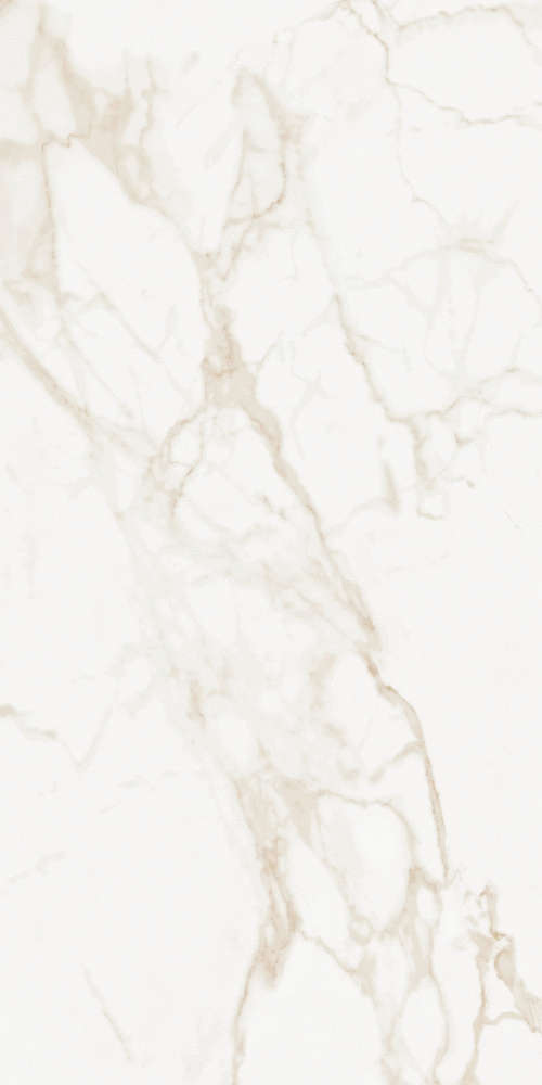 Calacatta Matt (600x1200)