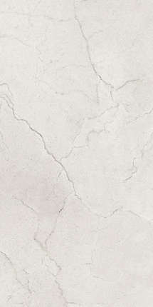 Маймун Glossy 60x120 Flority Ash Glossy