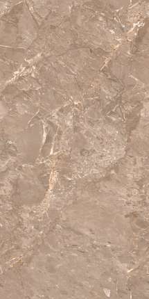 Маймун Glossy 60x120 Oracle Brown Glossy