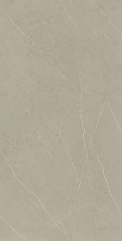 Evoke Taupe HG Glossy 80x160 (800x1600)