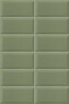 Майнзу Plus Bissel Green Olive