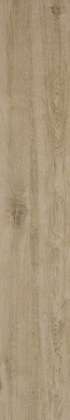 Rovere 20 (200x1200)