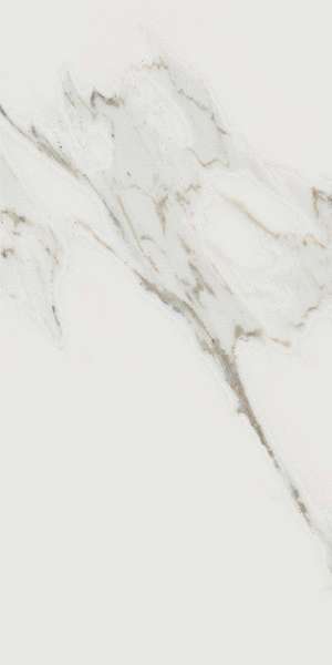 Calacatta Reale Luc Sq JW02 60x119.7 (600x1197)