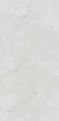 Модерн Тайл Endless Snow White Glossy 60x120