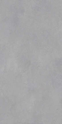 Модерн Тайл Leonessa Silver Matt 60x120