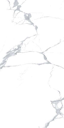 Модерн Тайл Megnus Statuario 60x120