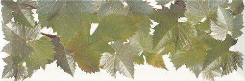 Монополь Tempranillo Cen.Hojas Blanco