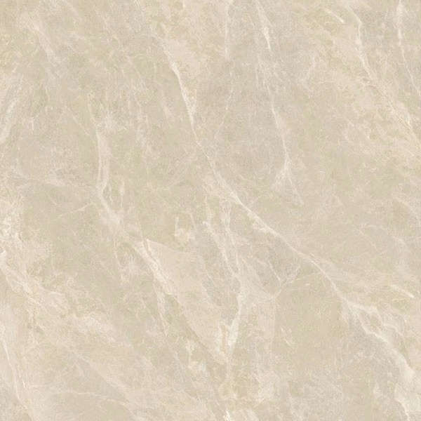 Grey 120x120 Polished (1200x1200)