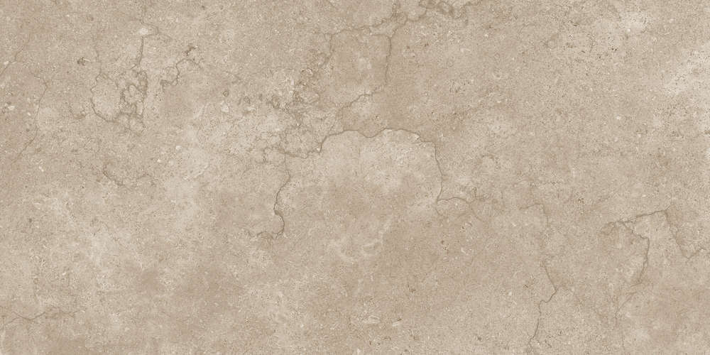 Taupe 60x120 (1200x600)