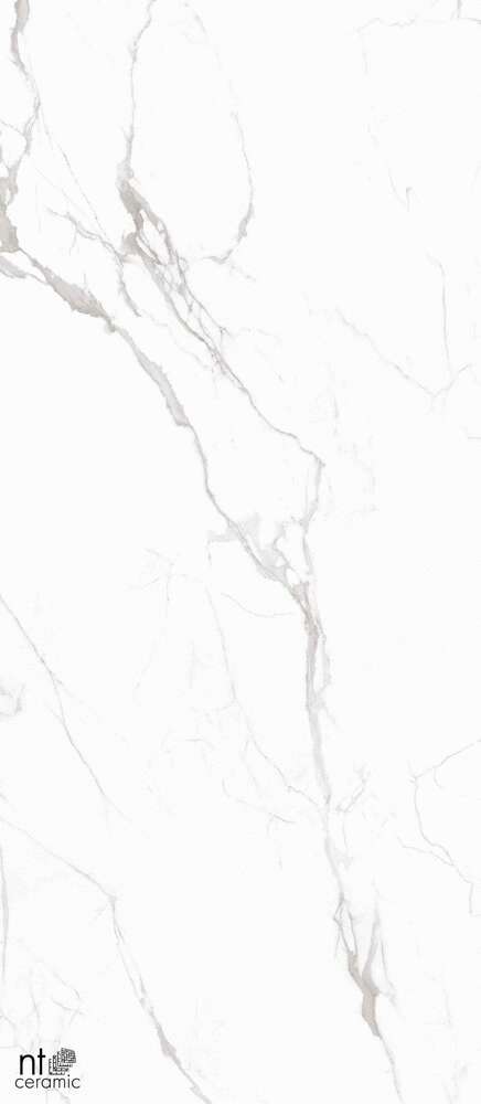 Marble White Полированный 120x280 (1200x2800)