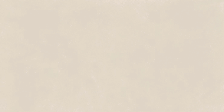 Naxos Pigmenta Classiqua Nat Rett 60x120