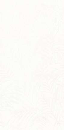 Нефрит Фернс Белая