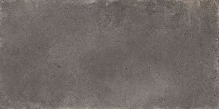 Нью Тренд Elbrus Graphite