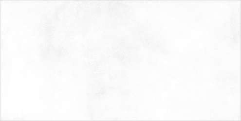 White (500x249)