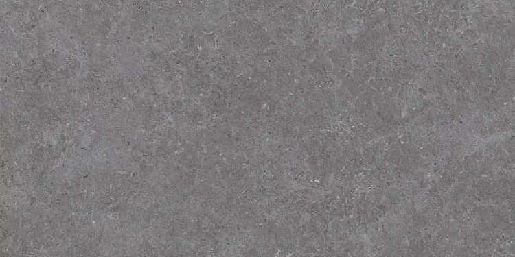 Gray Dark Semi Polished 60x120 (1200x600)