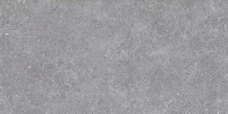 Gray Semi Polished 60x120 (1200x600)