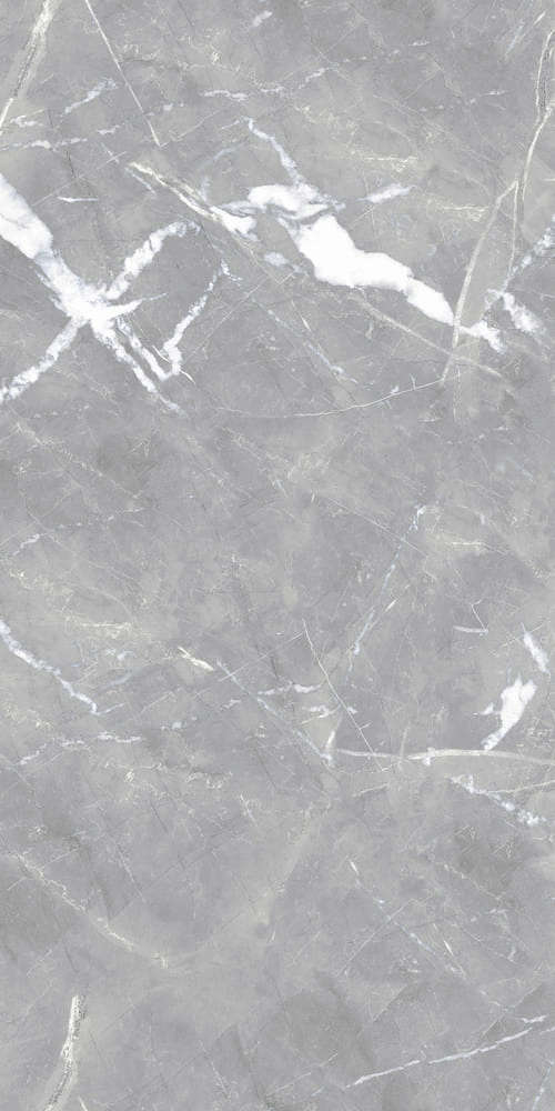 Gray Light Polished 59x119 (590x1190)