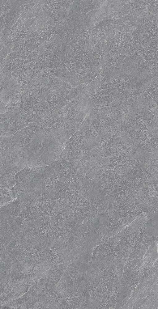 Carbonio Silver Матовый 60х120 (600x1200)