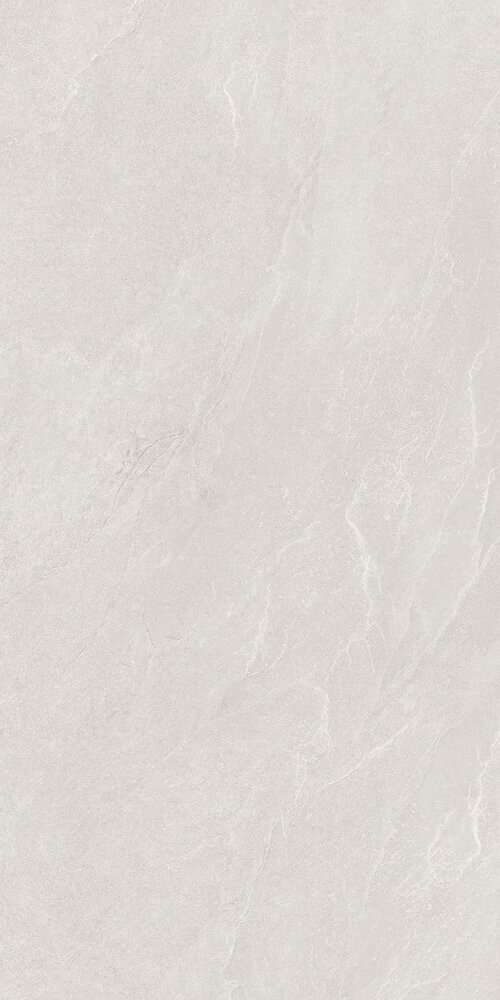 Carbonio White Матовый 60х120 (600x1200)