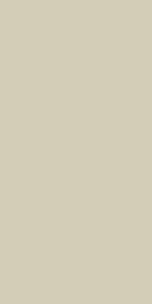 Exotic Crema Матовый 60х120х4.8 (600x1200)