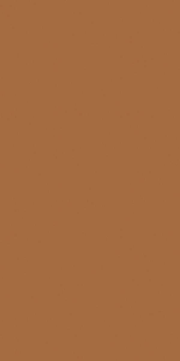 Exotic Light Brown Матовый 60х120х4.8 (600x1200)