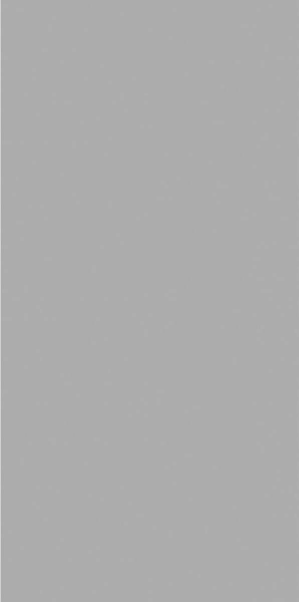 Exotic Light Grey Матовый 60х120х4.8 (600x1200)