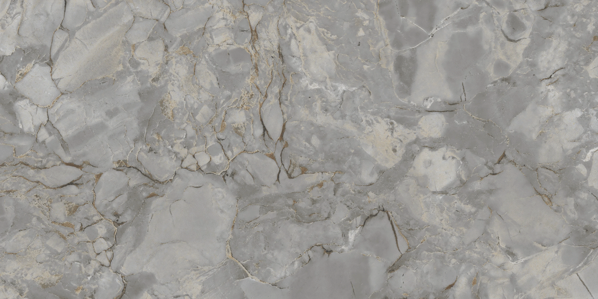 One Touch Ceramic Vilastone Grey Carving 60x120 фото-3