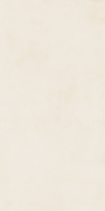 Протайлс Urban Beige Matt 9mm 60x120