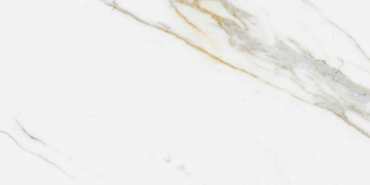 Памеса Calacata Supreme Matt Rec. 60x120