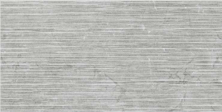 Pamesa Constanza Rlv. Gray MT Rect 60x120