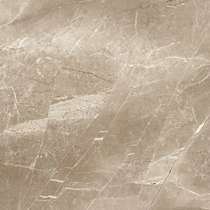 Taupe Leviglass 60х60 (600x600)