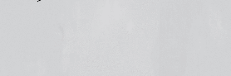 Peronda Palette Fog R