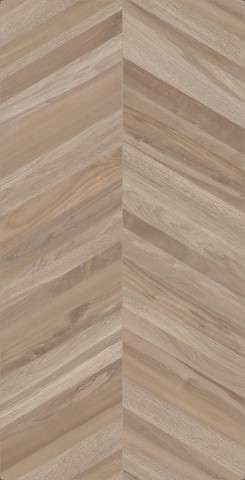 Chevron miel n-r 60x120 (600x1200)