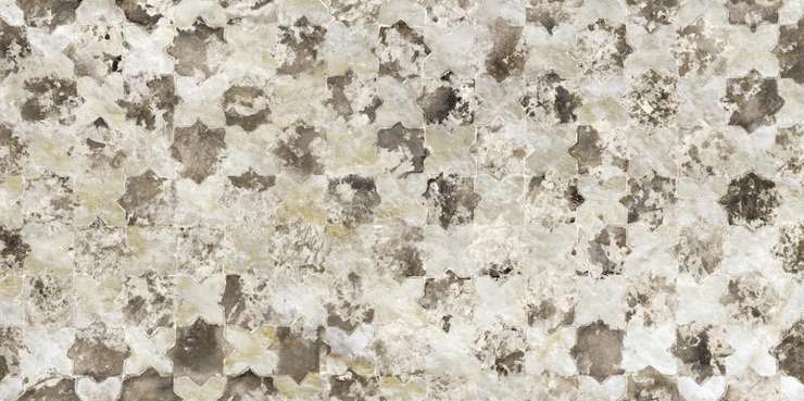 Пиемме Opulence Antique Light Lev Ret (R) 60x119.5