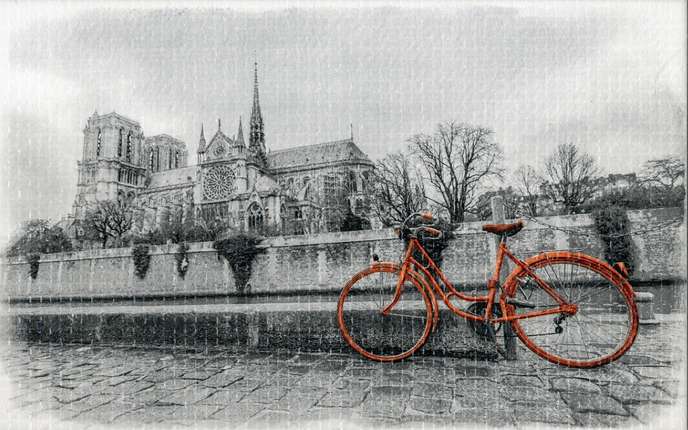 ПьезаРоса Сириус Dec. Байк Оранжевый