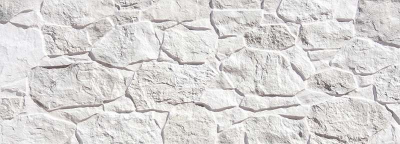 White (890x320)