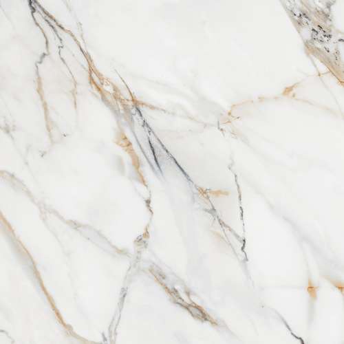 5062 Calacatta Gold Rectificado (500x500)