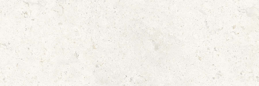 White (900x300)